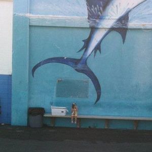 Meet your Posher, Benjamin